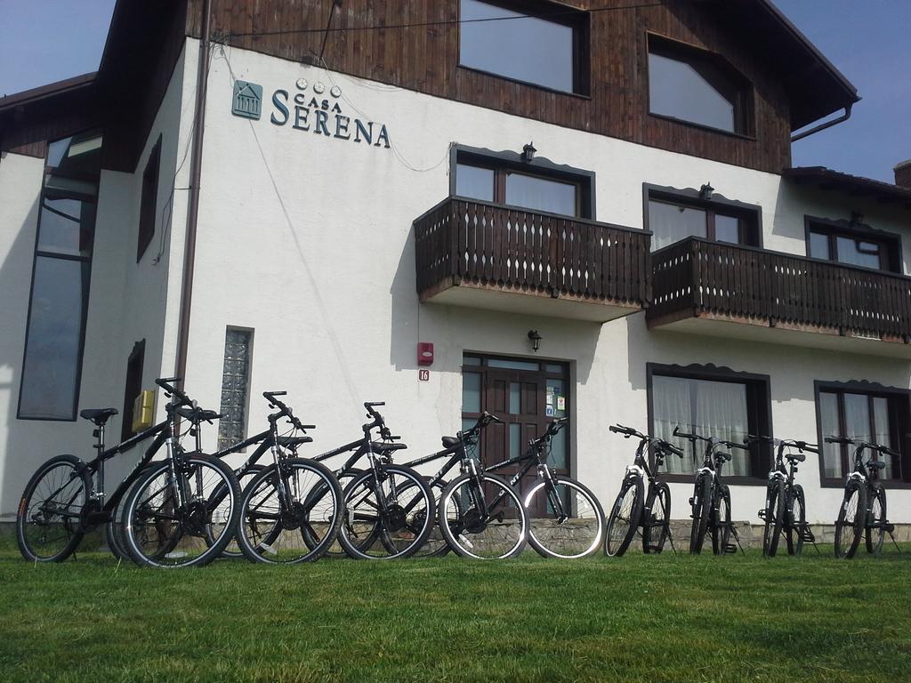 Serena Guesthouse Bran Бран Екстер'єр фото
