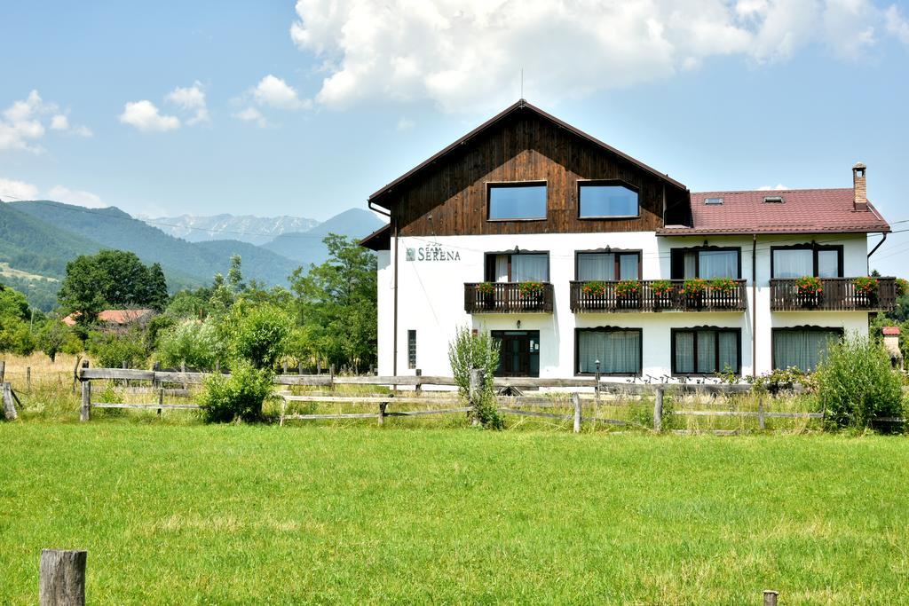 Serena Guesthouse Bran Бран Екстер'єр фото