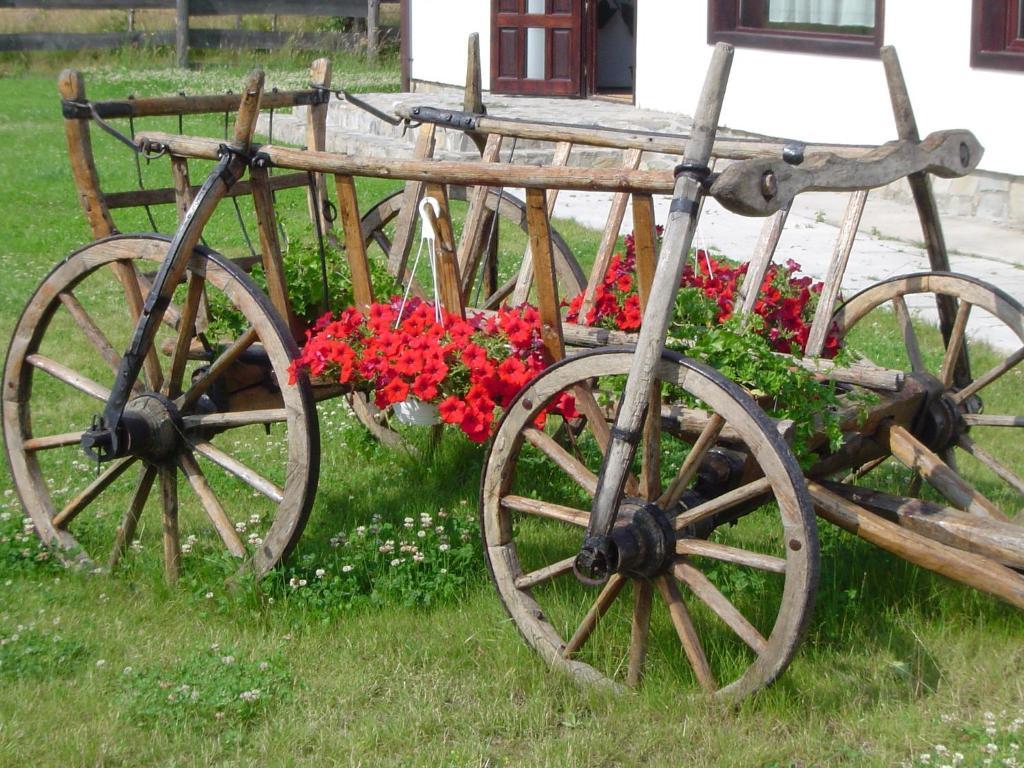 Serena Guesthouse Bran Бран Екстер'єр фото