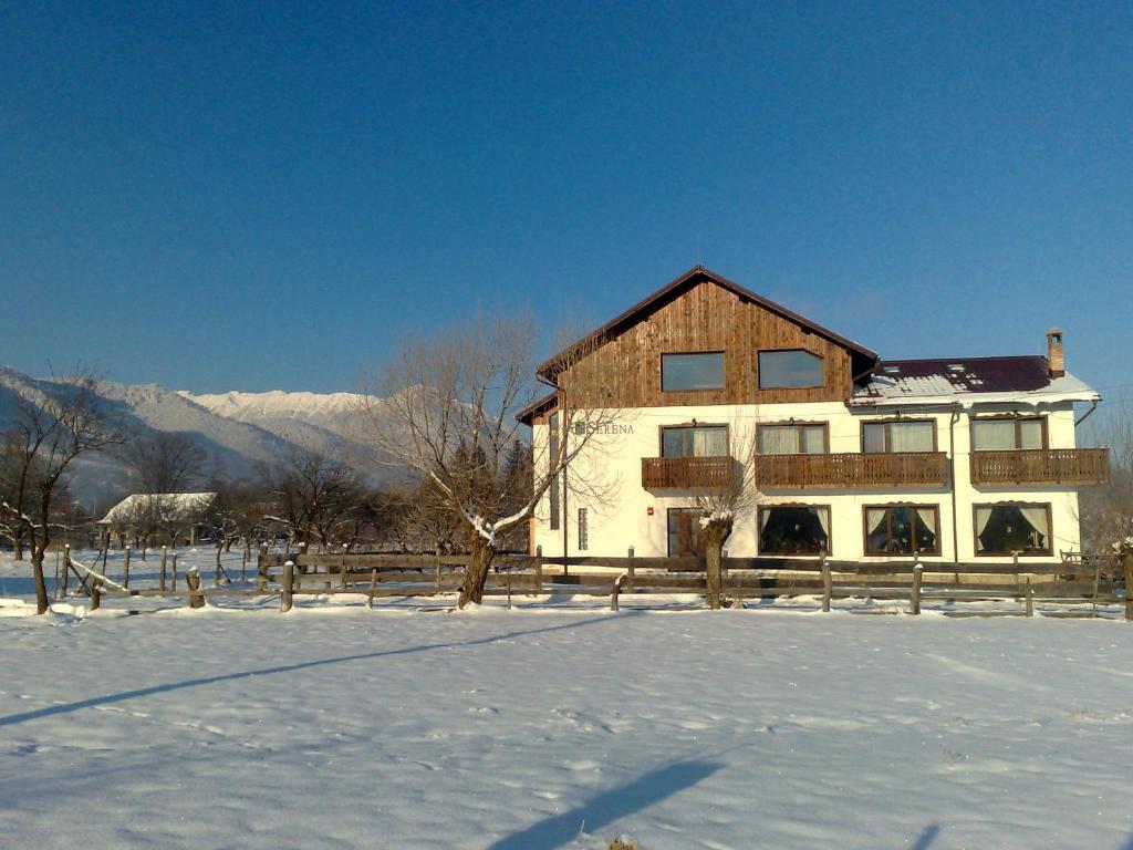 Serena Guesthouse Bran Бран Екстер'єр фото