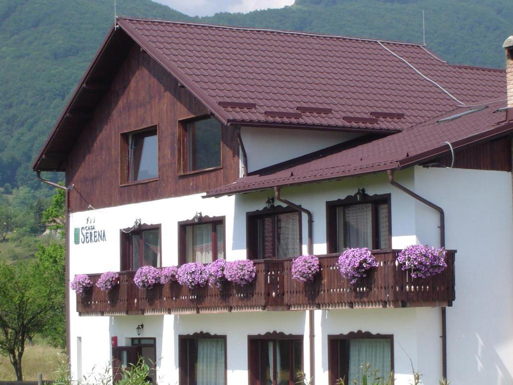 Serena Guesthouse Bran Бран Екстер'єр фото