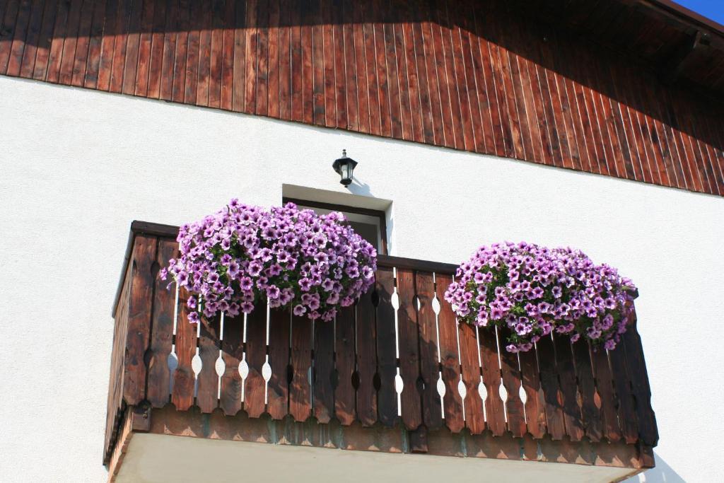 Serena Guesthouse Bran Бран Екстер'єр фото